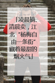 凌晨摘、清晨卖，江北“杨梅自由一条街”藏着最甜的烟火气